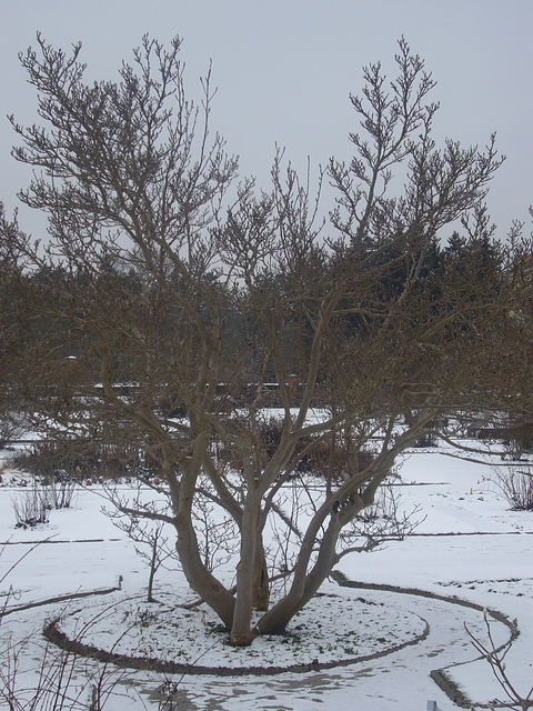 München - Botanischer Garten