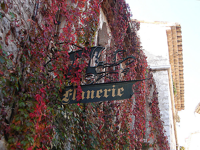 20061106 0920DSCw [F] Saint-Paul-de-Vence, Cote d'Azur