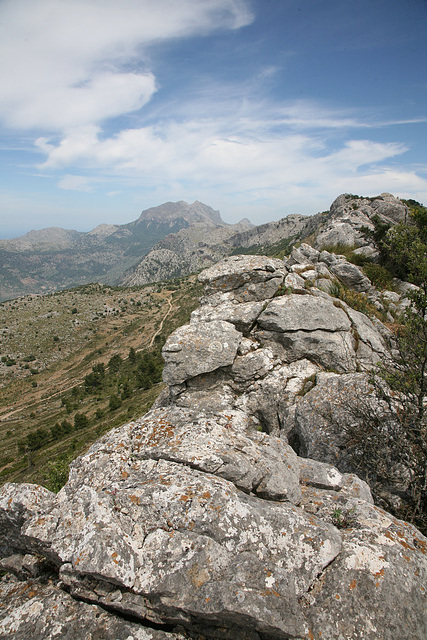 Sierra d'Alfabia - Mallorca