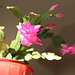 IMG 0815