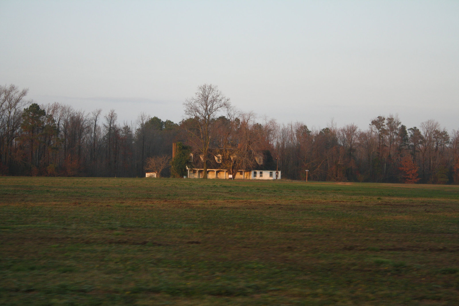 58.StJeromesNeckRoad.Dameron.MD.26November2009