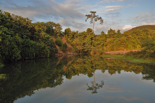 Pond for fishing