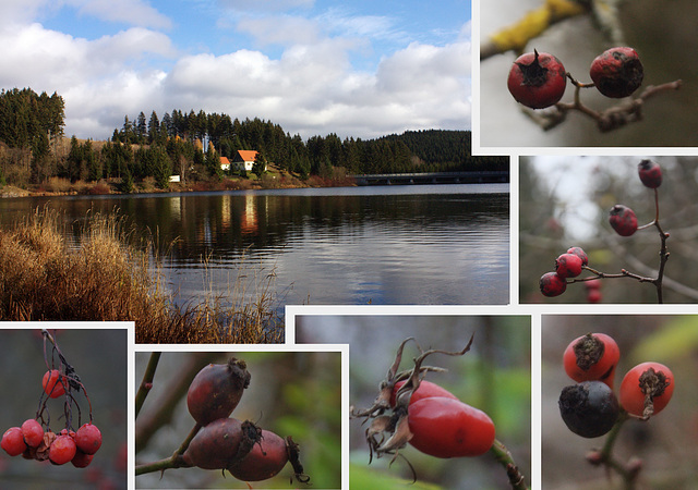 Herbstimpressionen