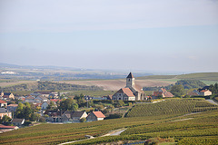 VIGNOBLE DE CHAMPAGNE