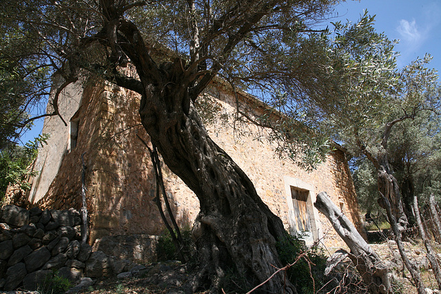 Mallorca