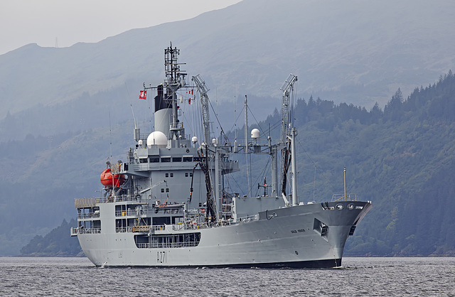 RFA GOLD ROVER