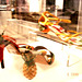 Bata shoe museum  / Toronto, CANADA - 2 novembre 2005