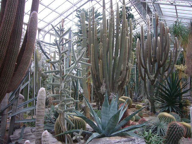 München - Botanischer Garten