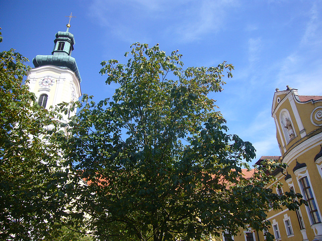 Klosterkirche Walderbach