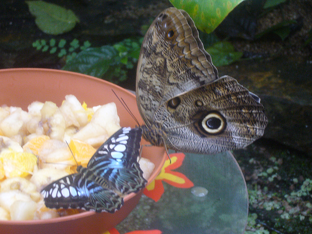 München - Botanischer Garten