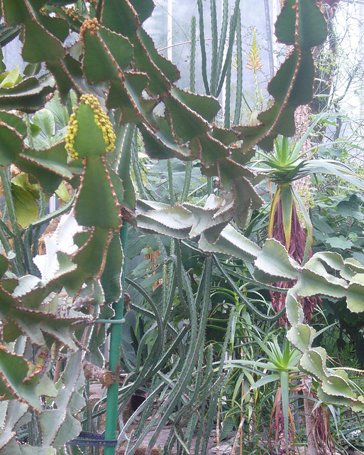 München - Botanischer Garten