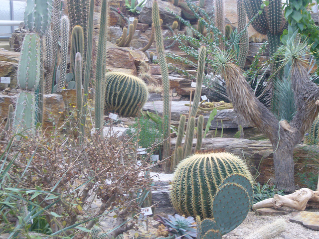 München - Botanischer Garten