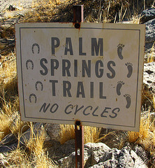 Palm Springs Trail (1919)