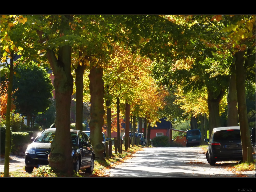 autumn makes our life colorful