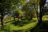 Brook Vessons nature reserve