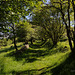 Brook Vessons nature reserve