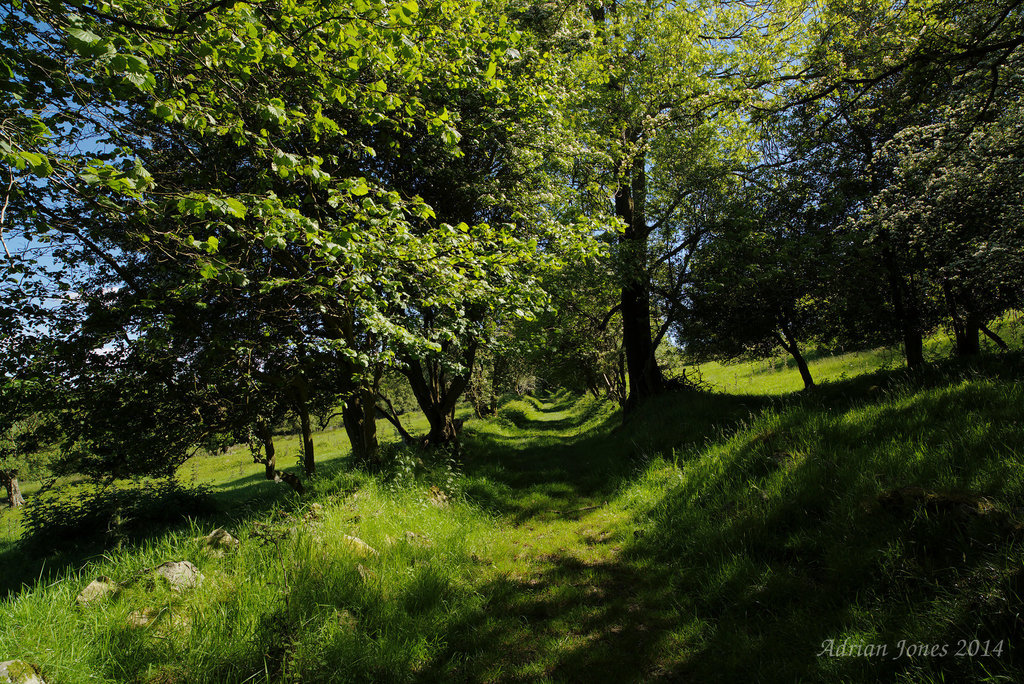 Brook Vessons nature reserve.