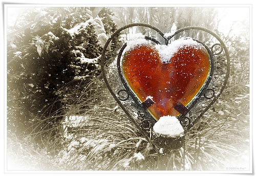 a warm heart ♥...