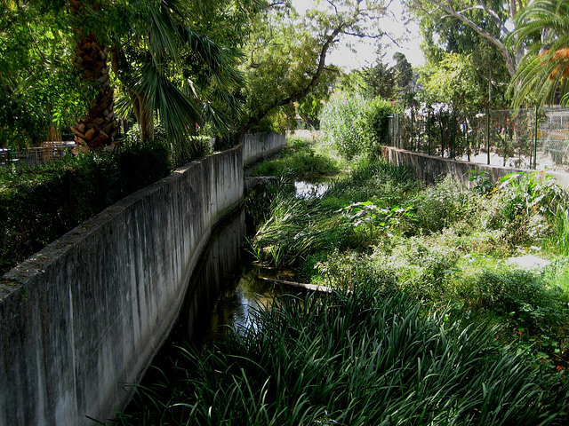 Oeiras, Municipal Garden, Ribeira da Lage - small river (2)