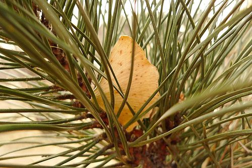 P1010789