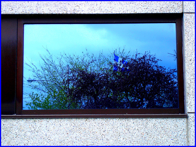 Fleurdelysé hospitalisé  / Hospitalized fleur-de-lis flag -  Dans ma ville / Hometown .  Mai 2008.