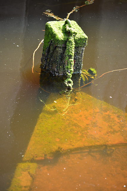 Sunken Boat