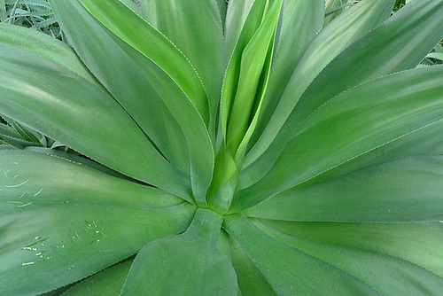 P1020182