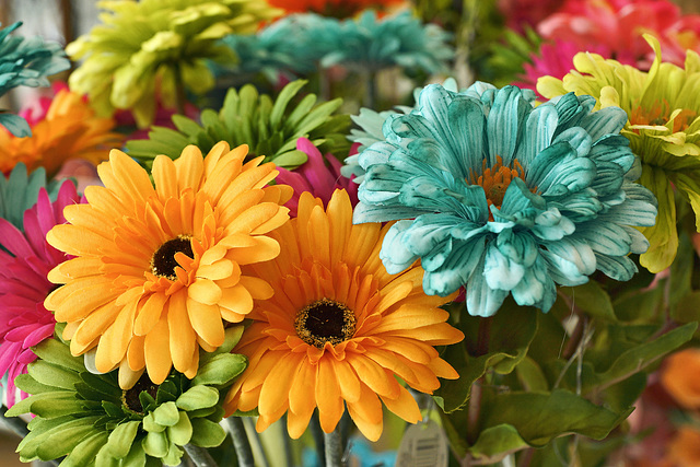 (Very) Artificial Flowers – Gift Shop, Phipps Conservatory, Pittsburgh, Pennsylvania