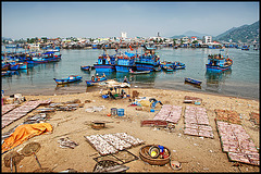 drying fish