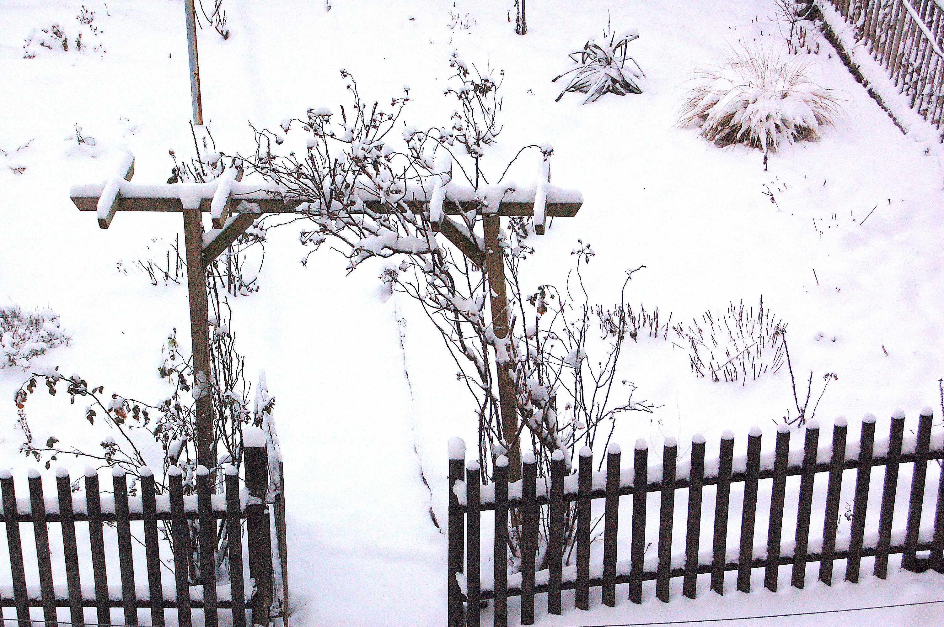 ĝardenpordo vintre - Gartentor im Winter