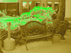 Banc botanique /  Botanical bench - Sepia avec vert ajouté