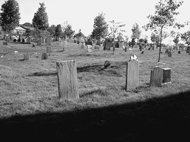The Eastern cemetery  /  Portland, Maine USA -  11 octobre 2009 - Sans flash . N & B