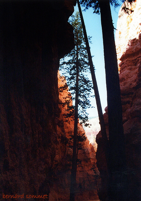 Tendus vers la lumière