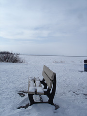 Randonnée en raquettes / Snowshoe run - Hometown - Dans ma ville / Hiver 2008 - Banc solitaire dans la neige