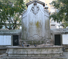 Lisboa, Benfica, fountain