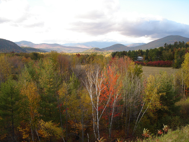 Intervalle overlook / Bartlett area. New Hampshire.  USA. 10-10-2009