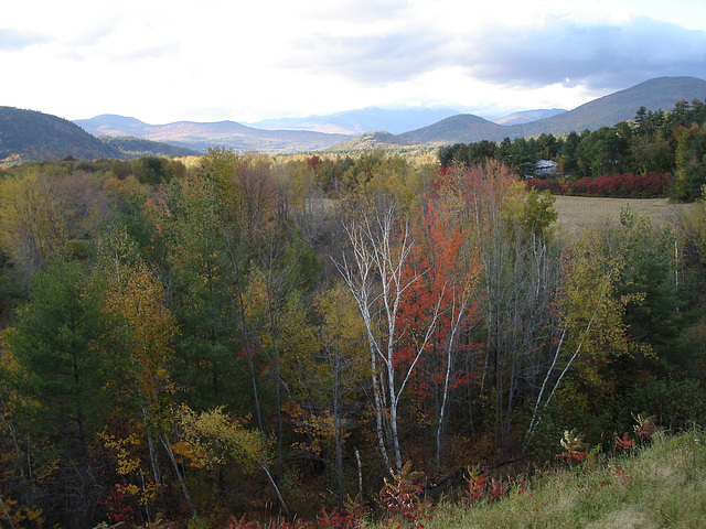 Intervalle overlook / Bartlett area. New Hampshire.  USA. 10-10-2009