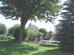 Cour chargée  / Full backyard - 12-07-2009