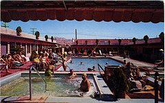 Tropical Palms Resort Motel (12962 Palm Drive) postcard