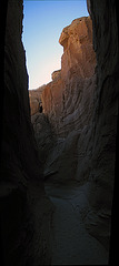 Anza-Borrego (3)