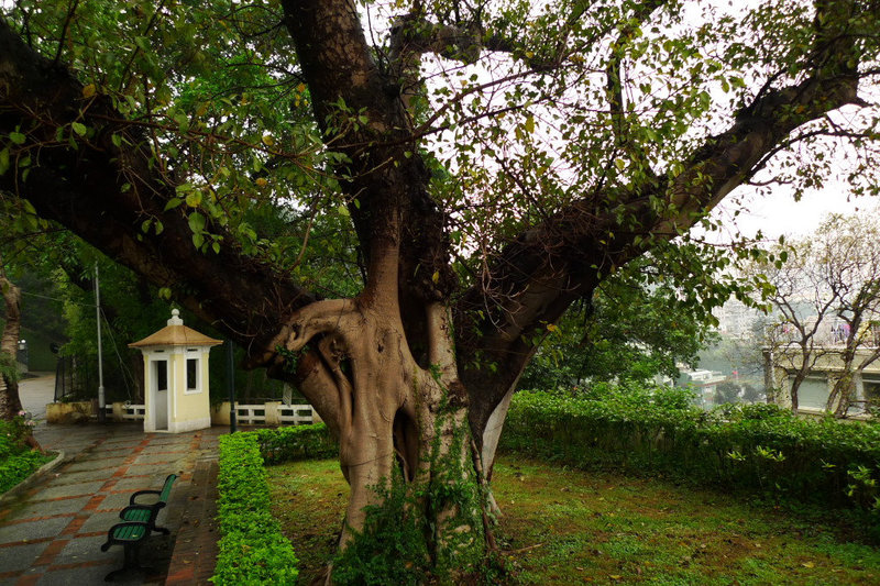 P1040190