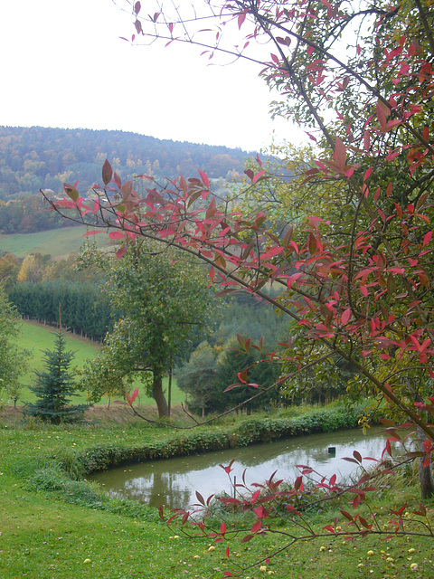 Weiher in Gunt