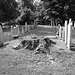 Whiting church cemetery. 30 nord entre 4 et 125. New Hampshire, USA. 26-07-2009 -  N & B