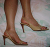 sz 7 ann taylor (F)