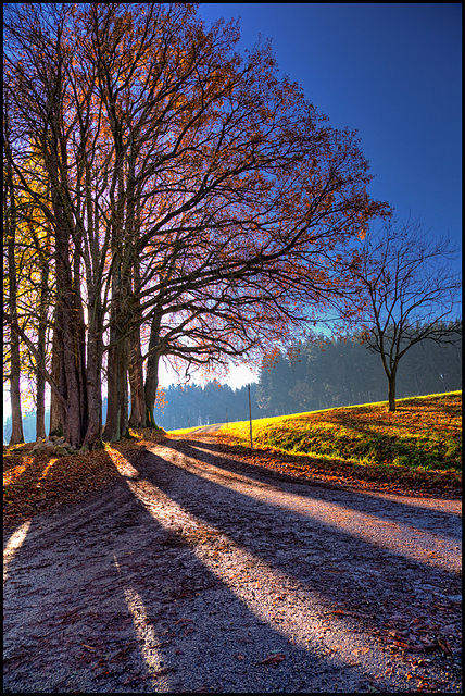 magic autumn light