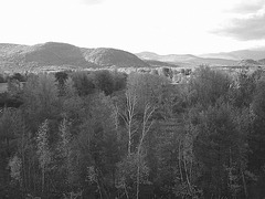 Intervalle overlook / Bartlett area. New Hampshire.  USA. 10-10-2009- Noir et blanc