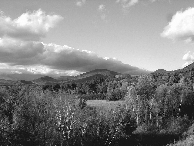 Intervalle overlook / Bartlett area. New Hampshire.  USA. 10-10-2009 - En noir et blanc