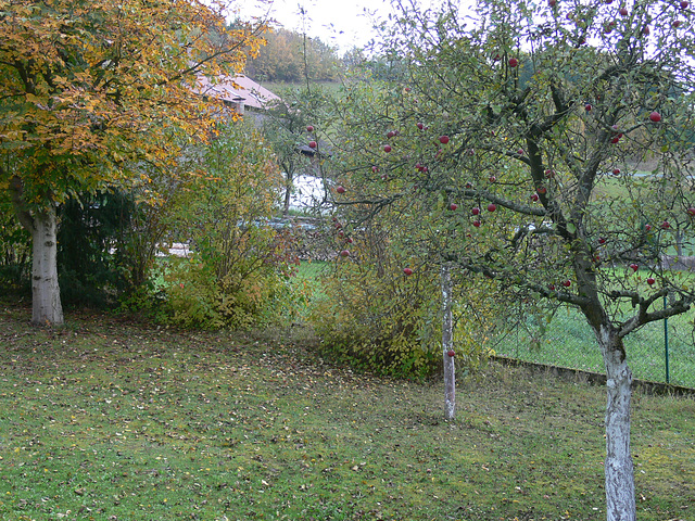 Herbst im Garten