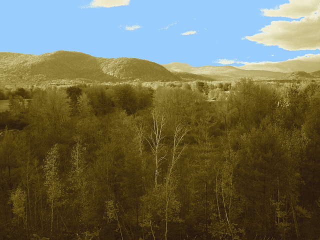 Intervalle overlook / Bartlett area. New Hampshire.  USA. 10-10-2009- Sepia et ciel bleu photofiltré
