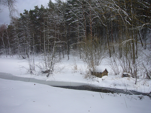 Winterspaziergang